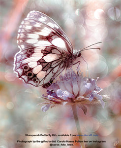 A Little Stumpwork Butterfly KIT