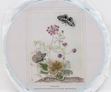 CAMPANULA AND BUTTERFLIES by Di van Niekerk - COMPLETE KIT