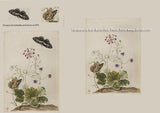 CAMPANULA AND BUTTERFLIES by Di van Niekerk - Embroidery Panel