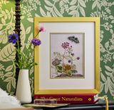 CAMPANULA AND BUTTERFLIES by Di van Niekerk - COMPLETE KIT