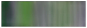 25mm Silk No 100 Deep Shade 1