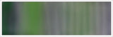 25mm Silk No 100 Deep Shade 1