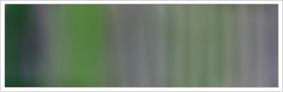 25mm Organza No 100 Deep Shade 1