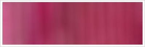 25mm Organza No 108 Cerise 1