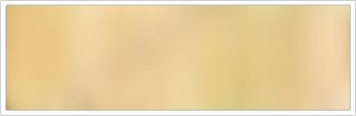 25mm Organza No 110 Wheat 1