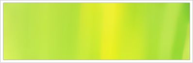25mm Organza No 117 Light Kiwi 1