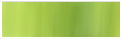 25mm Organza No 18 Slate Green & Beige 1