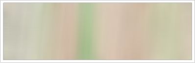 15mm Organza No 124 Protea Grey 1