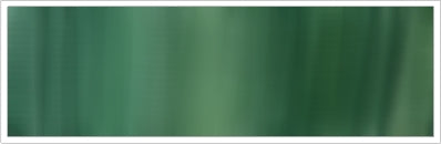 38mm Organza No 126 Forest Shade 1