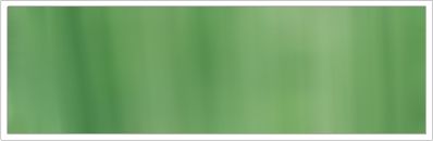 38mm Organza No 16 Slate Green 1