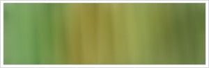 4mm Silk No 17 Slate Green & Biscuit 1