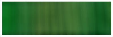 32mm Silk No 19 Fern green 1