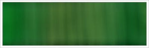 38mm Organza No 19 Fern green 1