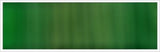 38mm Organza No 19 Fern green 1