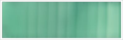 15mm Organza No 29 Sage 1