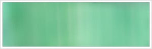 38mm Organza No 30 Shrub 1