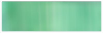 15mm Organza No 30 Shrub 1