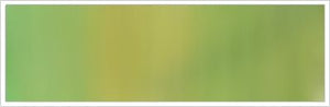 32mm Silk No 32 Sunny Green 1
