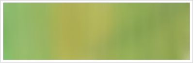 15mm Organza No 32 Sunny Green 1