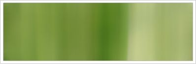 2mm Silk No 33 Autumn 1