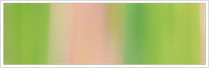 25mm Organza No 34 Pine & Light Brown 1