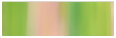 25mm Organza No 34 Pine & Light Brown 1