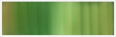 25mm Silk No 35 Pine & Antique Brown 1