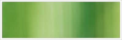 3mm Organza No 36 Avocado 1