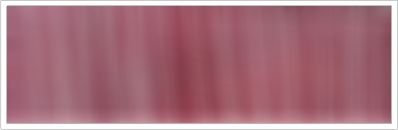 25mm Organza No 59 Orchid 1