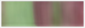 25mm Organza No 61 Antique Red & Green 1