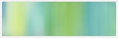 25mm Organza No 70 Springtime 1