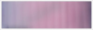38mm Organza No 71 Velvet 1