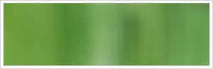 2mm Silk No 80 Olive 1