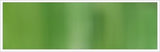 2mm Silk No 80 Olive 1