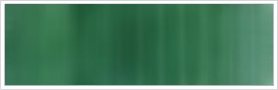25mm Organza No 83 Forest Green 1