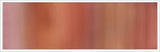 25mm Organza No 85 Wild Ginger 1