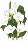 Large Arums A4 (Medium) embroidery panel, ready to embroider 1