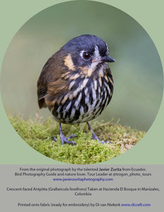 Little Bird Friend - Complete EMBROIDERY KIT