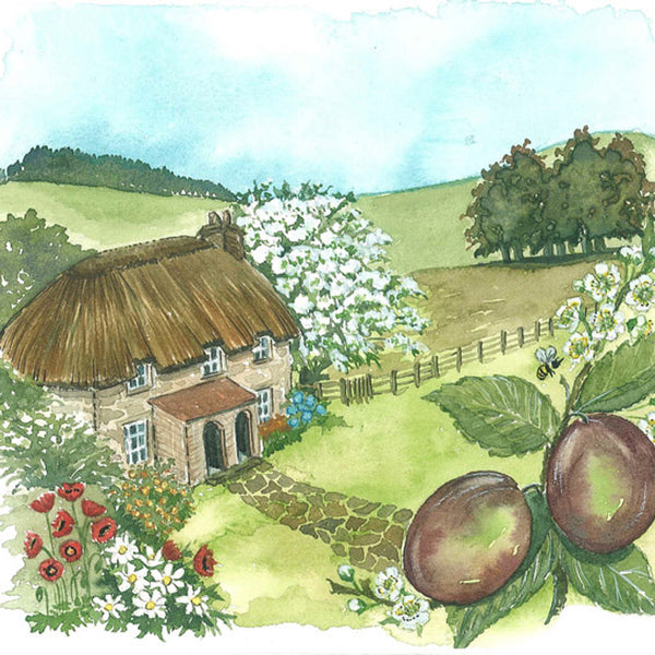 MC 08 Plum - A4 (Medium) embroidery panel 1