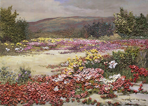 NR01 A Desert Carpet Embroidery Kit 1