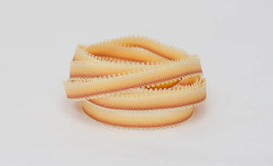 PICOT-5