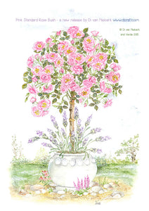 V1 – A Pink Standard Rose (A6) petite panel 1