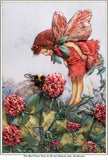 Red Clover Fairy by Di van Niekerk