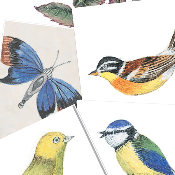 Stumpwork shapes for Roses book 1