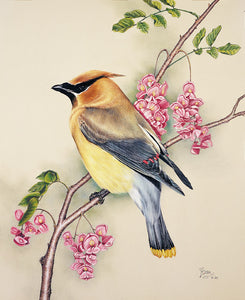 Waxie, Cedar Waxwing, embroidery panel