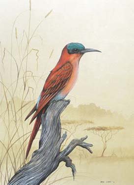 Carmine Bee-Eater A4 (Medium) embroidery panel, ready to embroider 1