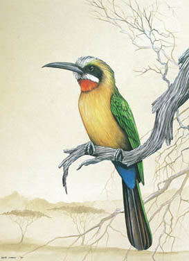 White Fronted Bee-Eater A4 (Medium) embroidery panel 1