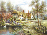 Box 7 - Garden Pond printed panel plus the lessons 1