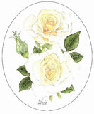 Ivory Beauty Rose embroidery panel, ready to embroider 1