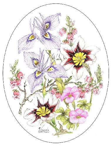 Erica and Sparaxis embroidery panel, ready to embroider 1